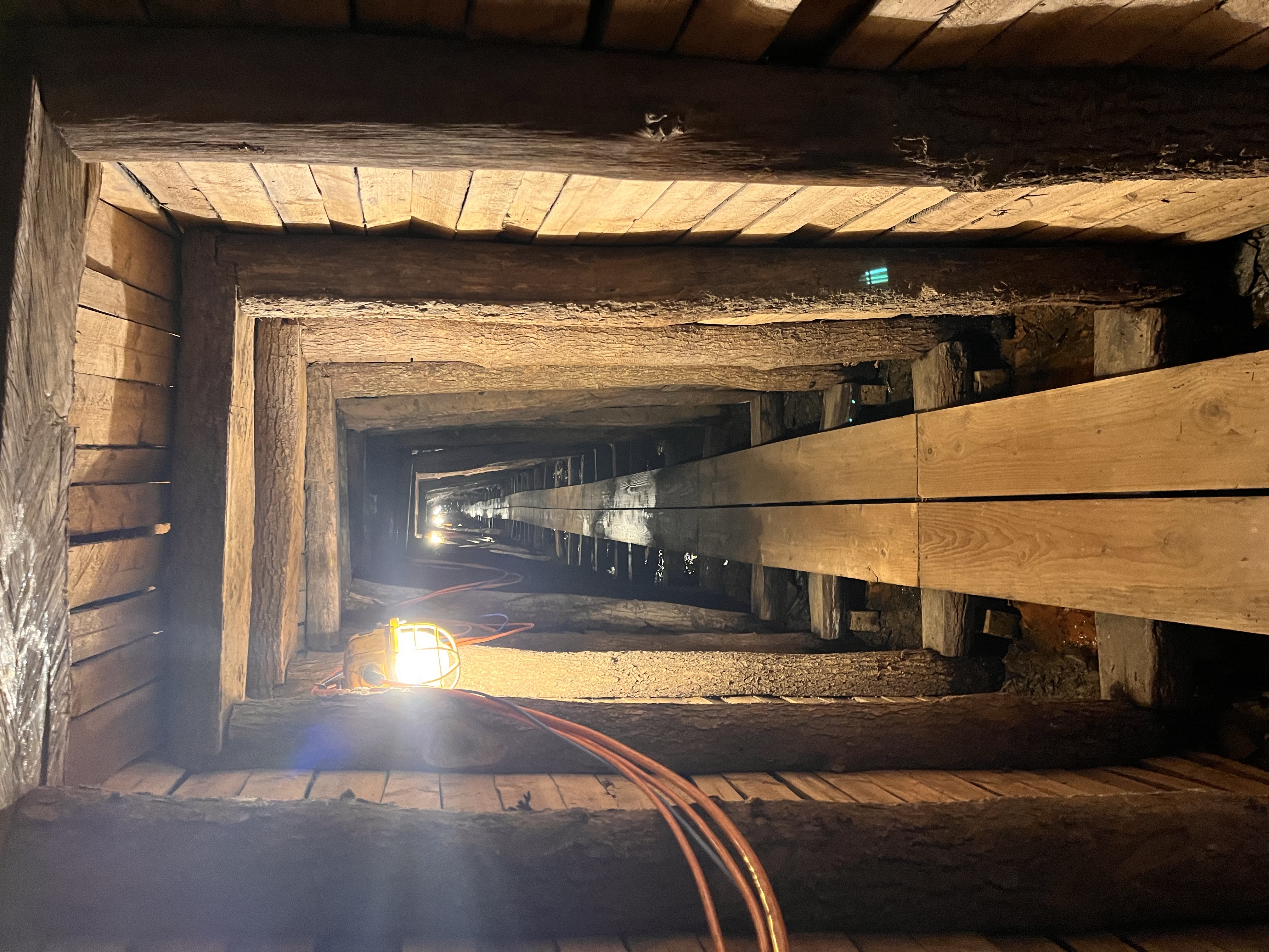 Christbaum sammeln 2025